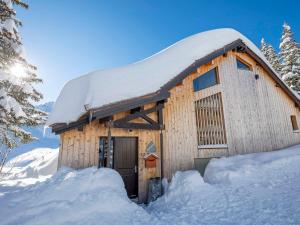 겨울의 Chalet rénové avec spa, hammam, sauna et jacuzzi - 12 pers - centre Avoriaz - FR-1-314-231