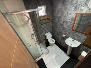 a bathroom with a shower and a toilet and a sink at Cabañas fariña llanquihue in Llanquihue