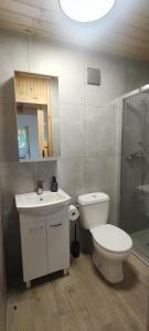 Un baño con inodoro, lavabo y ducha. en Domek Czarnucha, en Augustów