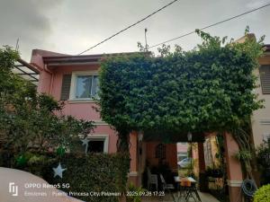 a pink house with a large tree in front of it at Serene Home Stay in Puerto Princesa City