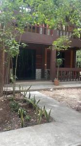 Zahrada ubytování Cabañas Xpujil Calakmul Campeche con vista a la Selva