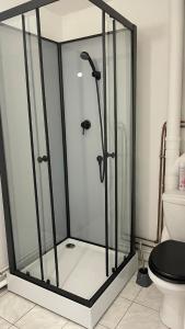 La Celle-sous-GouzonにあるStudio 3 Apartment with Unique Cathedral Viewのトイレ付きのバスルームのガラス製シャワー +8枚の写真