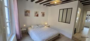 ein Schlafzimmer mit einem Bett mit einem rosa Vorhang in der Unterkunft Maison basse-ville - centre historique in Chartres