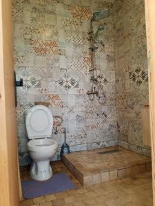 a bathroom with a toilet and a shower at Igiwano guest house in Essaouira