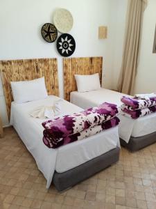 Gallery image of Igiwano guest house in Essaouira +5 photos