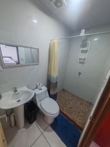 a small bathroom with a toilet and a sink at Casa Caribe in Tortuguero