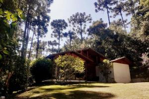 a house in the middle of a field with trees at Wooden House in Maria da Fé