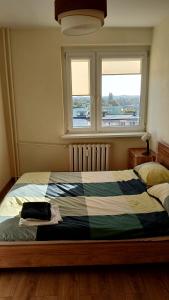 a bed in a bedroom with a window at Apartament 7 Piętro in Bydgoszcz