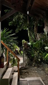 a patio with a bunch of plants and stairs at Paradiso Hostel Siargao in General Luna