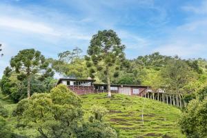 ein Haus auf einem Hügel mit Bäumen in der Unterkunft Altos das Araucárias - one place, great moments! in Alfredo Wagner