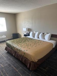 a bedroom with a large bed in a hotel room at Rodeway Inn in Webster