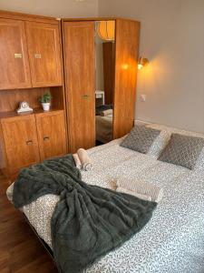 a bedroom with a bed with a blanket on it at Superbe T2 in Orléans