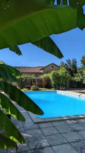 una piscina blu con foglie verdi di La Sacristie a Graulhet