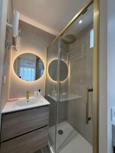 a bathroom with a shower and a sink and a mirror at Superbe T2 in Orléans