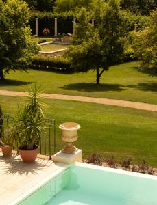 a view of a garden from a swimming pool at Kastély szállás in Nagyréde