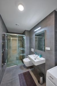 a bathroom with a toilet and a sink and a shower at Residence Kobrova with free parking in Prague
