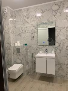 a bathroom with a toilet and a sink and a mirror at Zlate Home in Zlatograd