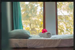 a window with a towel with a pink flower on it at Paradiso Hostel Siargao in General Luna +9 photos