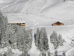 eine Skihütte im Schnee neben Bäumen in der Unterkunft Flora Alpinea in Damüls