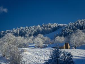 La Parenthèse trong mùa đông +2 ảnh