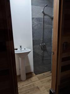 a bathroom with a sink and a shower at Piezas estilo departamento en casa Pucón in Pucón