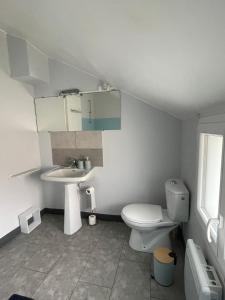 a bathroom with a toilet and a sink at La cabane du pêcheur in Éguzon-Chantôme