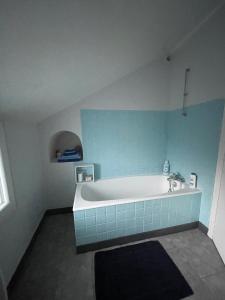 a bath tub in a bathroom with a blue wall at La cabane du pêcheur in Éguzon-Chantôme