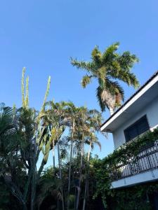 a palm tree on the roof of a house at Espacio perfecto para 3 con alberca in Chuburná de Hidalgo