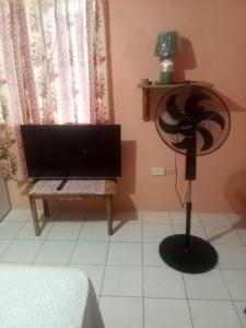 a living room with a flat screen tv and a lamp at Port Antonio Residence in Port Antonio