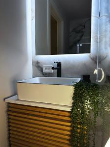 ピッツバーグにあるPrivate Parking 2 BEDS Urban Serenityの洗面台と鏡のあるバスルーム +10枚の写真