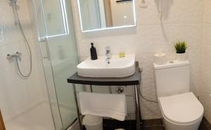 a bathroom with a sink and a toilet and a shower at WellBe Demerje in Brezovica