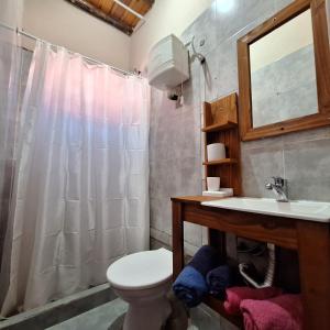 a bathroom with a toilet and a sink at HOSPEDAJE DODERA in Gualeguaychú