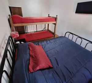a bedroom with a bed with blue sheets and red pillows at HOSPEDAJE DODERA in Gualeguaychú