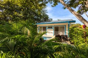 a tiny house with a pool in the yard at Casa Blue Monkey - Playa Conchal in Brasilito