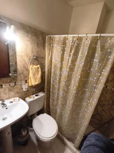 a bathroom with a sink and a toilet and a shower curtain at B&B Copahue in San Carlos de Bariloche