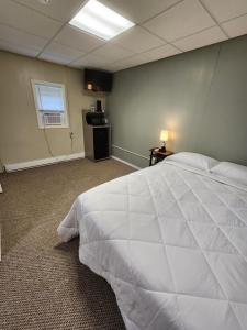 Un dormitorio con una gran cama blanca en una habitación. en Dunnstown Lodge, en Lock Haven 1 foto más