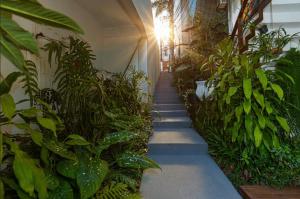 un pasillo lleno de muchas plantas en un edificio en Casa da Vila 2 dormitorios - Centro de Floripa, en Florianópolis