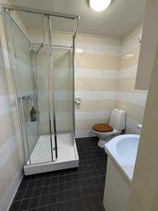 a bathroom with a shower and a toilet and a sink at Northern Lights View Beautiful Berg in Kuberg