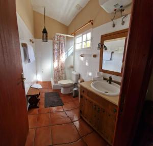 a bathroom with a sink and a toilet and a mirror at Viviendas Casa Abuela in El Paso +22 photos