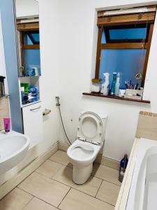 a bathroom with a white toilet and a sink at Detached house in Newtown Mount Kennedy