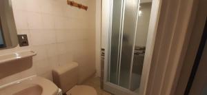 a bathroom with a toilet and a glass shower at Au relais des ballons in Saint-Maurice-sur-Moselle +39 photos