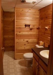 a bathroom with a toilet and a sink at Fishtrap Lake Lodge 4400 sq feet 6 bedroom 3 bath in Boulder Junction