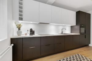 雷克雅未克Downtown Apartment with Parking的厨房配有黑色橱柜和白色家电