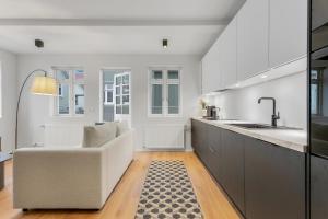 雷克雅未克Downtown Apartment with Parking的白色的厨房配有沙发和水槽