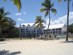 a large building with palm trees in front of a beach at Soleilcaraïbe Studio - direct beach access Gosier in Le Gosier