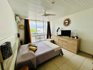 a bedroom with a bed and a tv and a window at Soleilcaraïbe Studio - direct beach access Gosier in Le Gosier