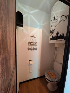 a small bathroom with a toilet and a sink at Le CerfBlanc in Les Angles +25 photos