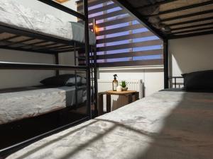a bedroom with two bunk beds and a window at Vive Hostel in Puerto Natales