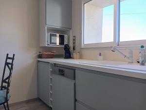 une cuisine avec un comptoir avec un évier et un micro-ondes dans l'établissement La Batisse, à Livron-sur-Drôme 5 autres photos