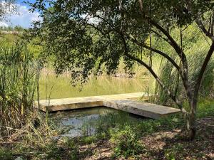a wooden bridge over a pond in a field at Block of 7 Lodges at Eden Reserve - For Groups in Williamstown